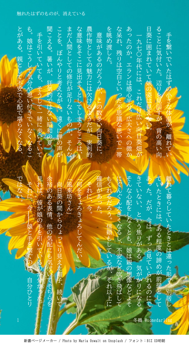 20260817132958-sie.png